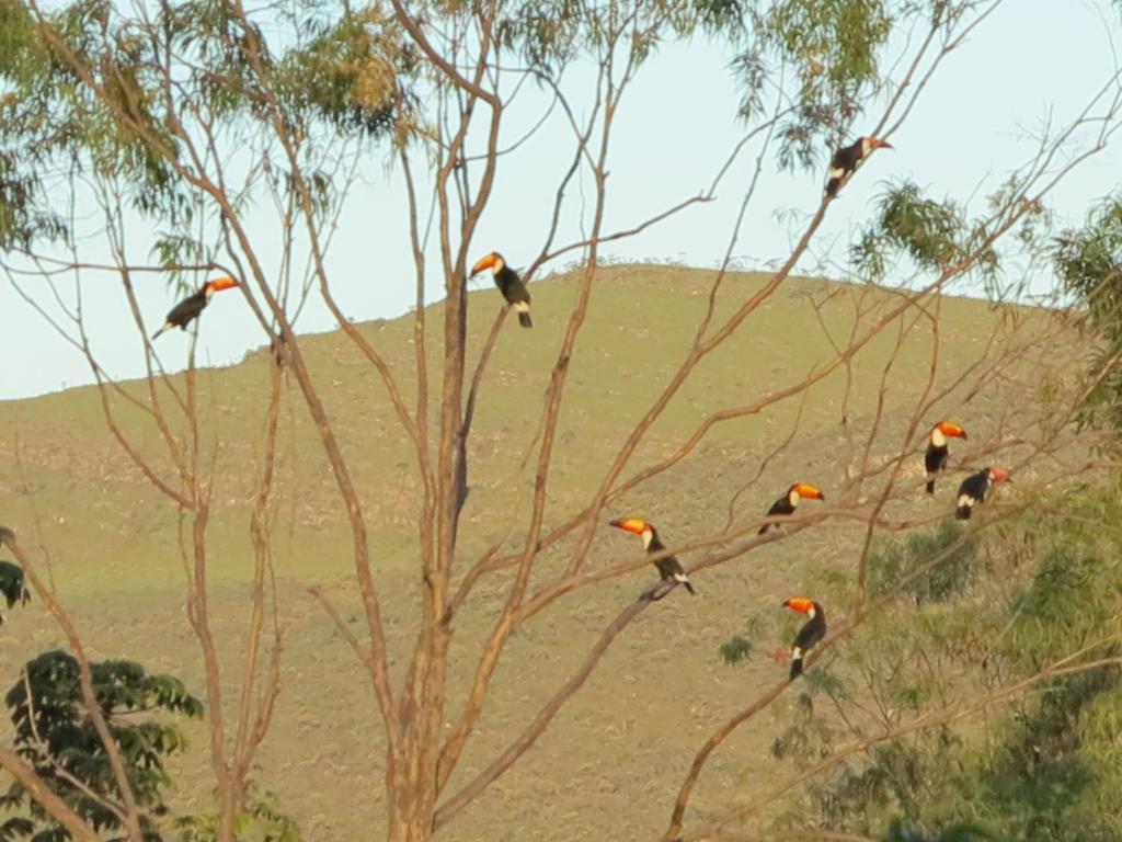 Pousada Recanto Da Grande Paz Alto Paraíso de Goiás Eksteriør billede